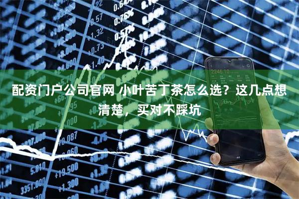 配资门户公司官网 小叶苦丁茶怎么选？这几点想清楚，买对不踩坑